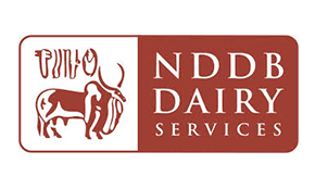 NDDB Dairy Services