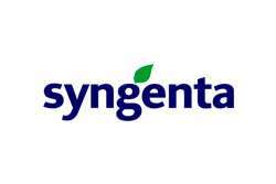 Syngenta Foundation
